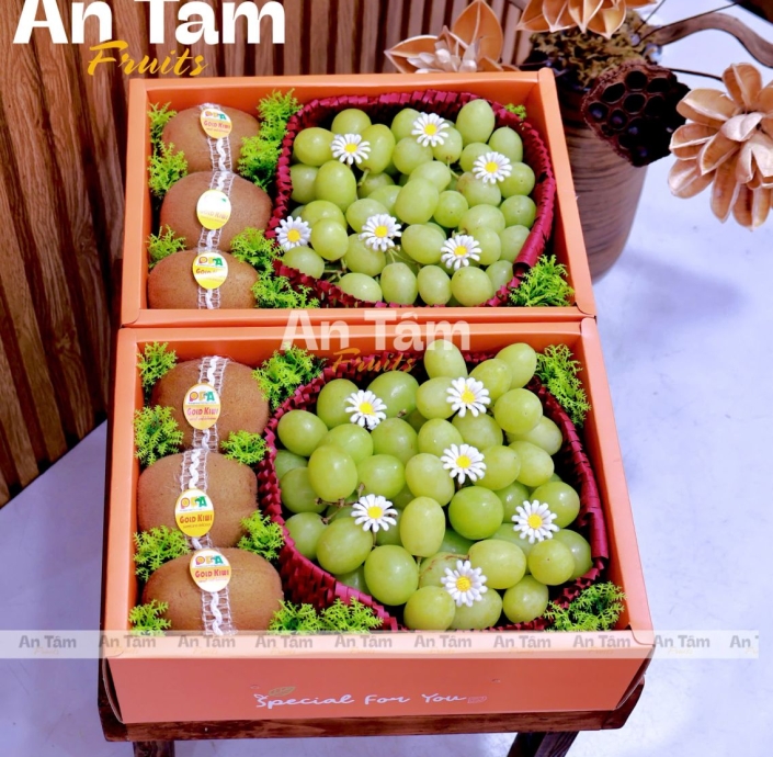 HỘP TRÁI CÂY TONE CAM MIX KIWI VÀNG VÀ NHO XANH 