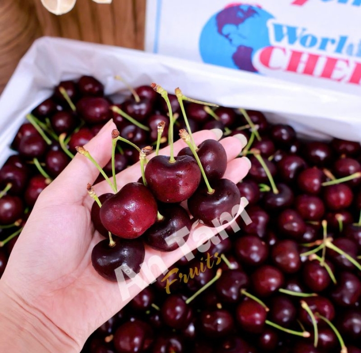 CHERRY MỸ STEMILT CHỦNG BLACK PEARL THEO THỜI GIÁ