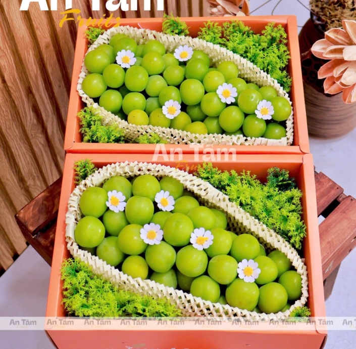 BOX 1 CHÙM NHO MẪU ĐƠN SIZE VIP
