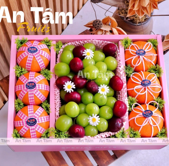 HỘP TRÁI CÂY MIX 3 LOẠI TRÁI QUÝT ÚC CHERRY MỸ VÀ NHO MẪU ĐƠN